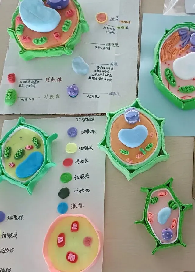 家校同心赴秋约|我校初一、初三年级家长会圆满举行-第7张图片-四季读书网 家校同心赴秋约|我校初一、初三年级家长会圆满举行-第7张图片-四季读书网
