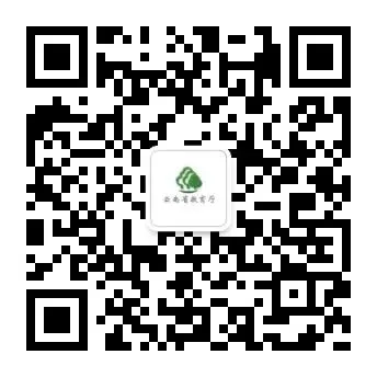 2024年高考期间天气预报-第10张图片-四季读书网 2024年高考期间天气预报-第10张图片-四季读书网