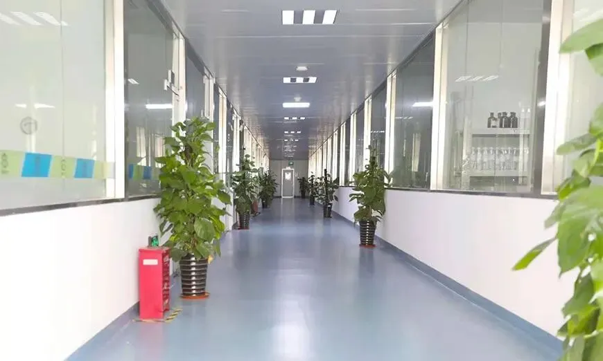 南宁新东方|27届高三高考全托班招生简章-第15张图片-四季读书网 南宁新东方|27届高三高考全托班招生简章-第15张图片-四季读书网