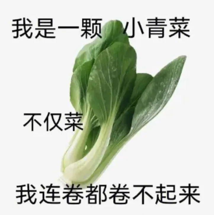 真题刷三遍还崩?你可能根本没吃透-第6张图片-四季读书网 真题刷三遍还崩?你可能根本没吃透-第6张图片-四季读书网