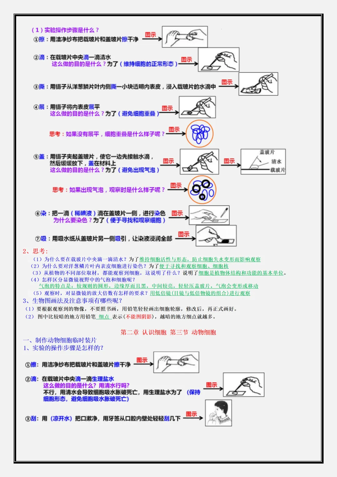 【初一】新版七年级上册生物期中考点知识点梳理汇总,完整版可打印-第4张图片-四季读书网