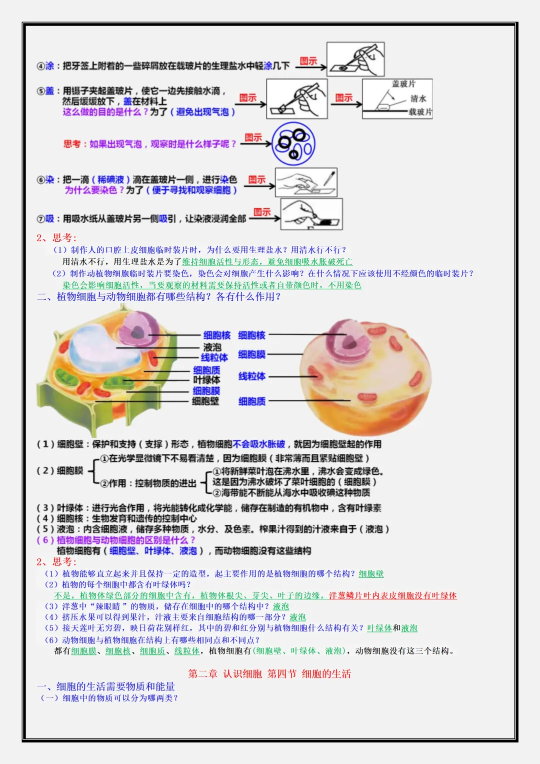【初一】新版七年级上册生物期中考点知识点梳理汇总,完整版可打印-第5张图片-四季读书网