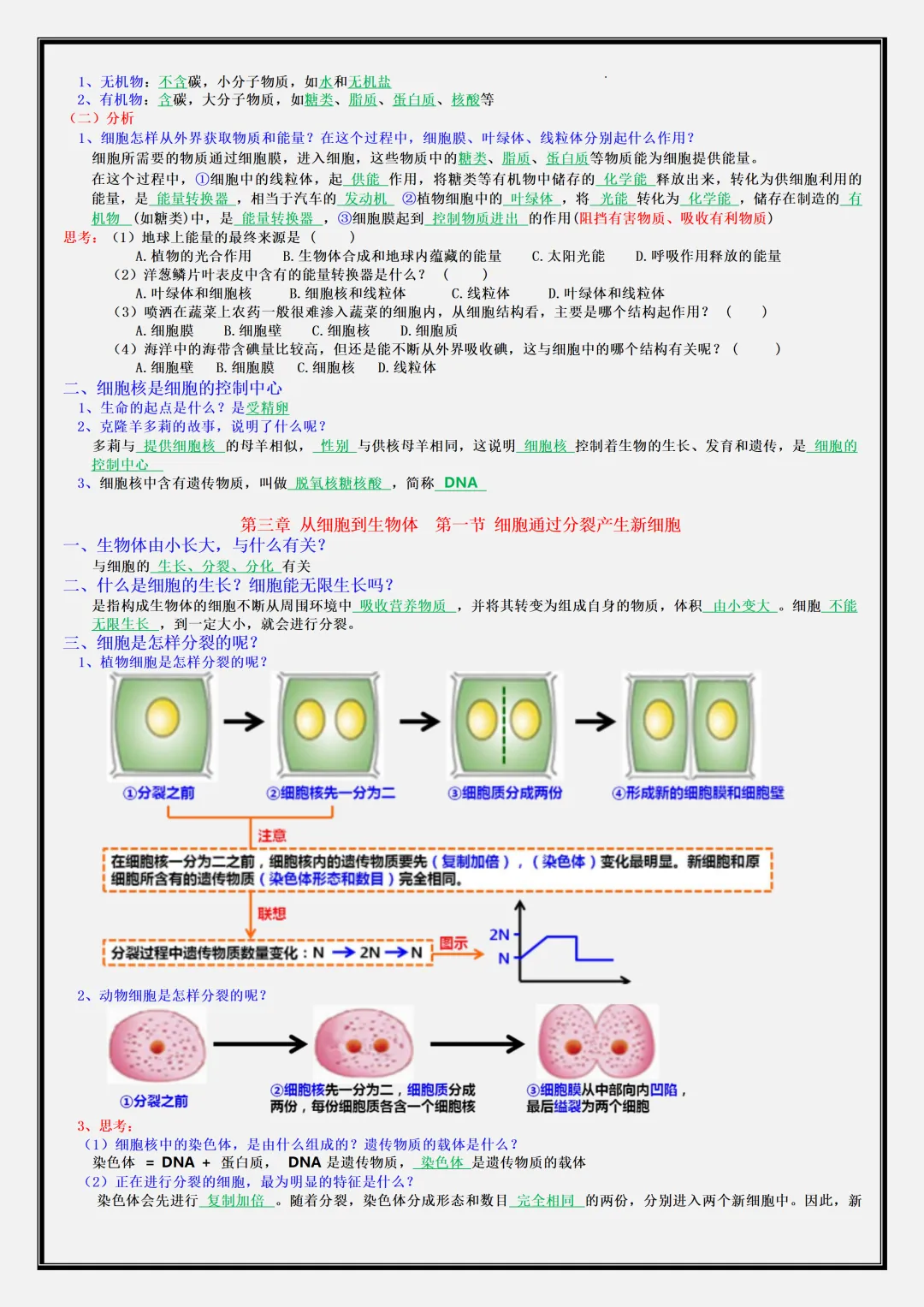 【初一】新版七年级上册生物期中考点知识点梳理汇总,完整版可打印-第6张图片-四季读书网