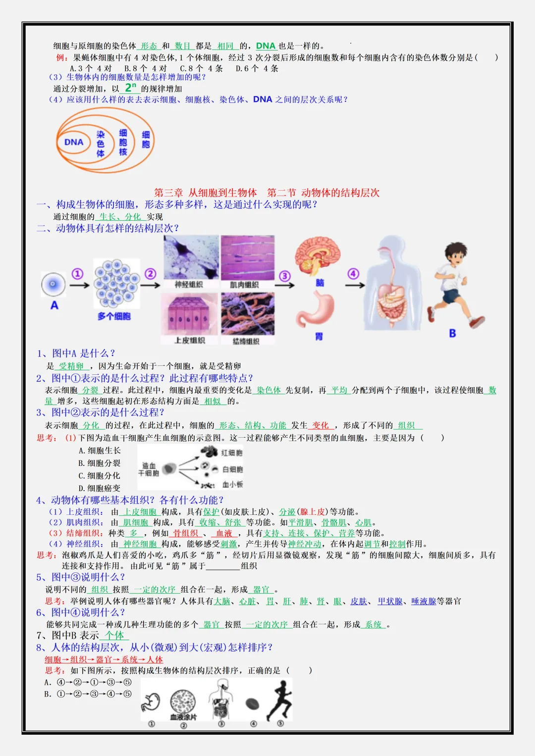 【初一】新版七年级上册生物期中考点知识点梳理汇总,完整版可打印-第7张图片-四季读书网