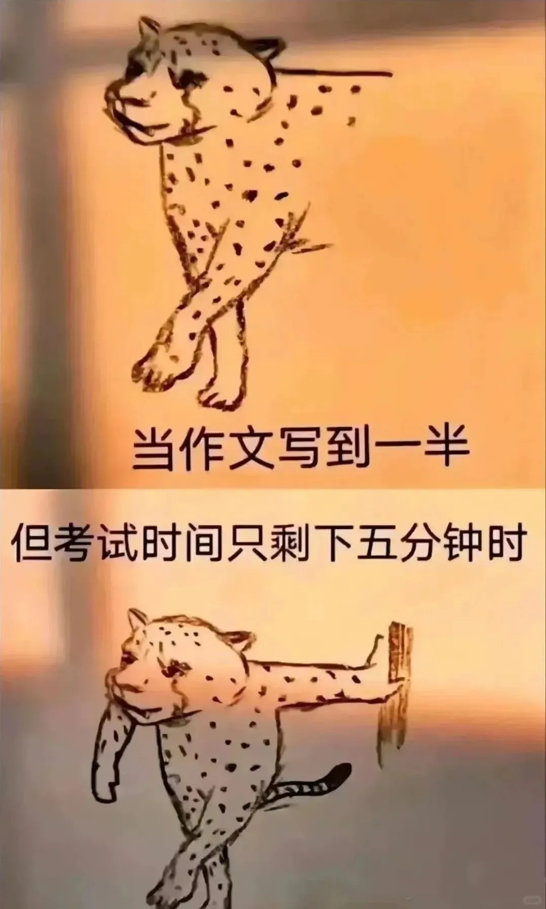 语文是玄学吗?前上海高考阅卷组老师帮你拆解:150分在考什么,怎么考?-第7张图片-四季读书网
