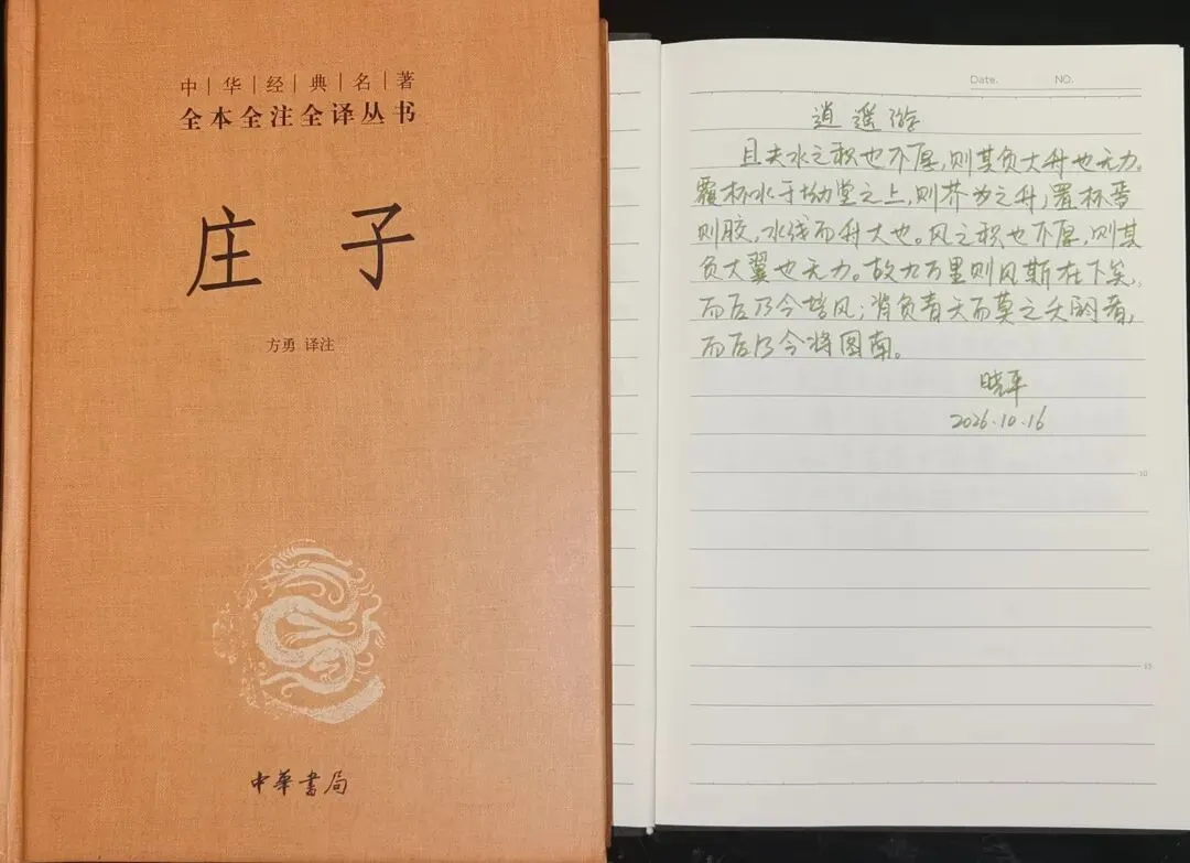 陪读初三的夜晚,我为什么又重新拿起了笔?-第1张图片-四季读书网