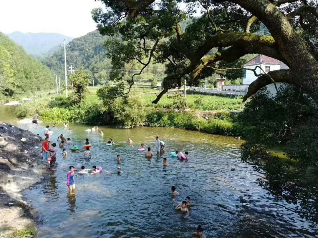 初一初二,学习生涯中的最高光时刻-第4张图片-四季读书网