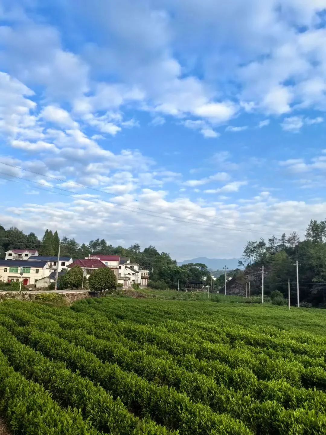 初一初二,学习生涯中的最高光时刻-第5张图片-四季读书网