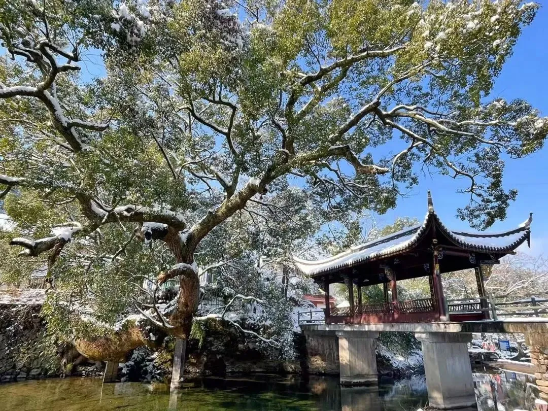 初一初二,学习生涯中的最高光时刻-第8张图片-四季读书网