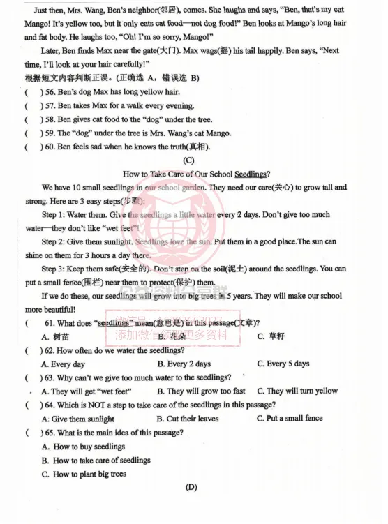 【初一/六上】2025年工附六上期中考试英语试卷及答案-第7张图片-四季读书网 【初一/六上】2025年工附六上期中考试英语试卷及答案-第7张图片-四季读书网