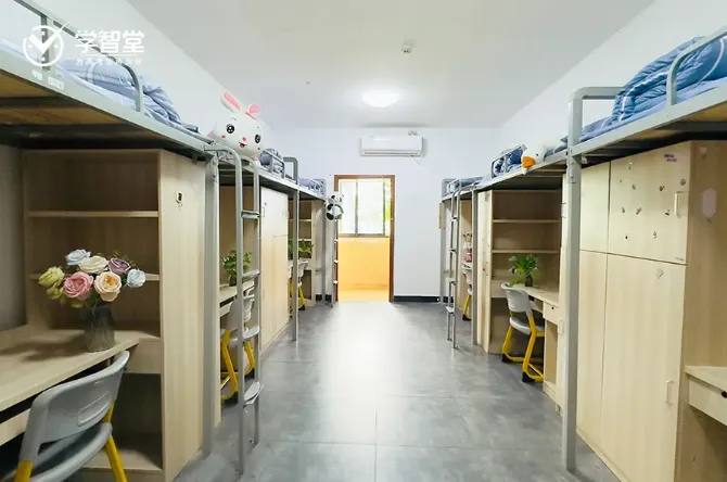 重庆初三全日制辅导|学智堂教育,全托集训找准薄弱点高效备战中考-第9张图片-四季读书网