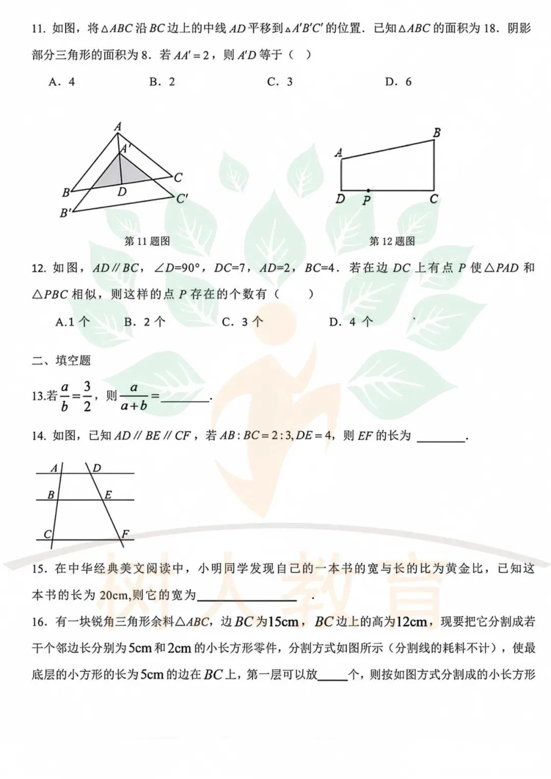 2026-2027石家庄28中初三上第一次月考数学、物理、化学试卷-第3张图片-四季读书网