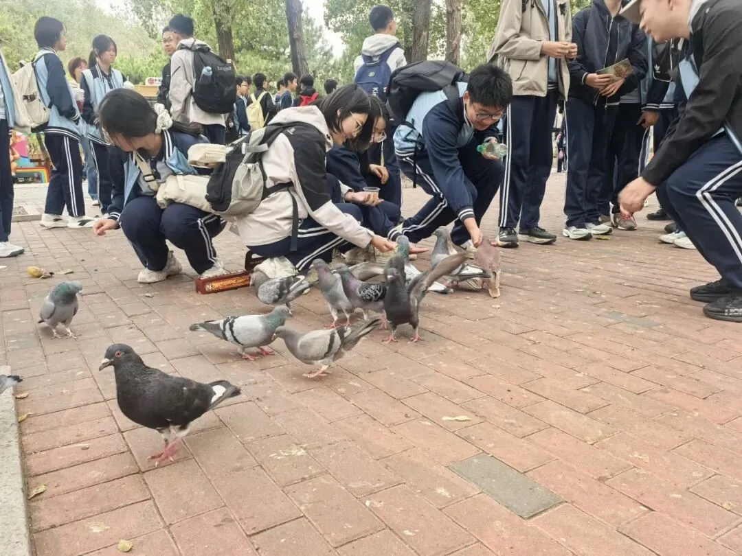 探秘自然生灵 厚植生态情怀——初三年级赴北京野生动物园开展社会实践活动-第19张图片-四季读书网 探秘自然生灵 厚植生态情怀——初三年级赴北京野生动物园开展社会实践活动-第19张图片-四季读书网