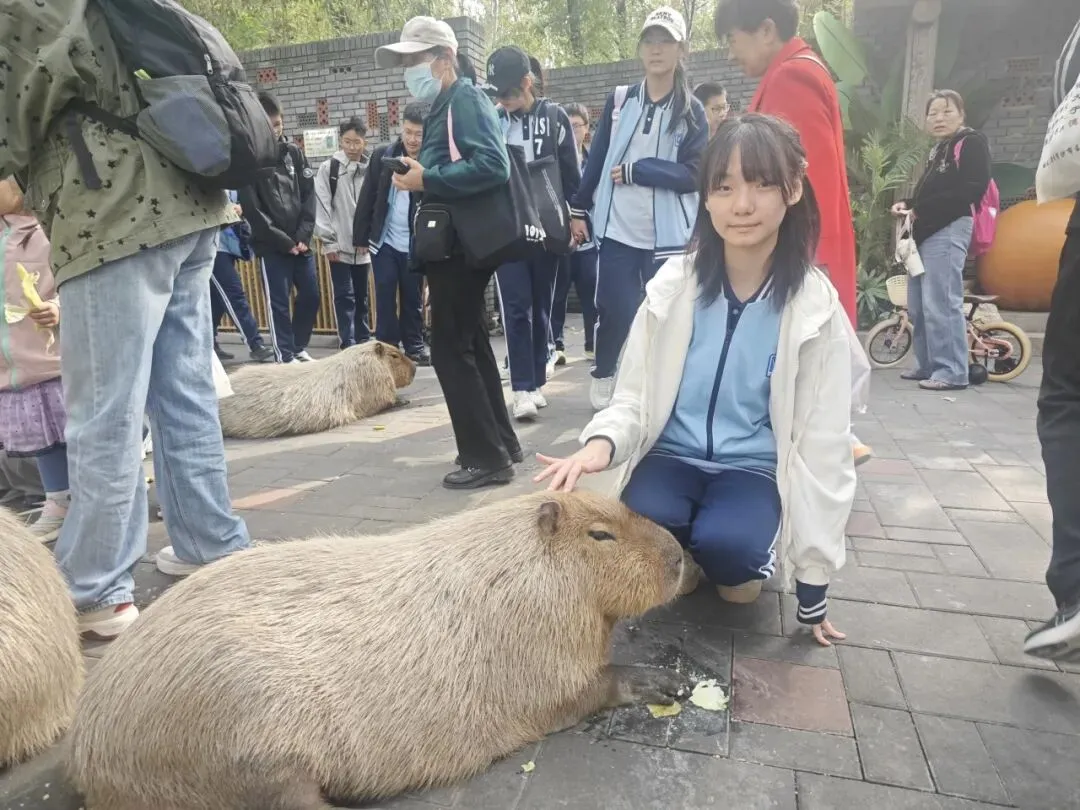 探秘自然生灵 厚植生态情怀——初三年级赴北京野生动物园开展社会实践活动-第29张图片-四季读书网 探秘自然生灵 厚植生态情怀——初三年级赴北京野生动物园开展社会实践活动-第29张图片-四季读书网