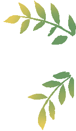 探秘自然生灵 厚植生态情怀——初三年级赴北京野生动物园开展社会实践活动-第33张图片-四季读书网 探秘自然生灵 厚植生态情怀——初三年级赴北京野生动物园开展社会实践活动-第33张图片-四季读书网