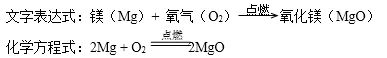 中考化学《空气、氧气》考点汇总-第8张图片-四季读书网