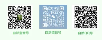 家有初三生丨45条鼓励初中生的话术-第11张图片-四季读书网 家有初三生丨45条鼓励初中生的话术-第11张图片-四季读书网