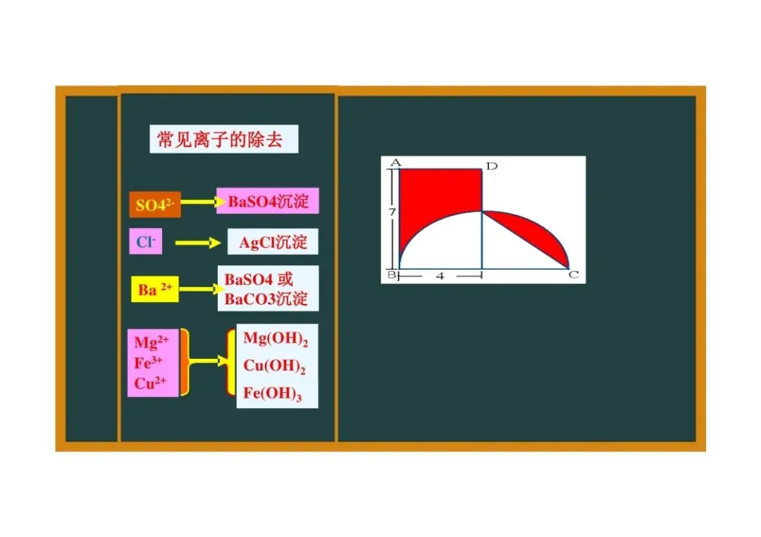 《初三化学》重点专题:物质的除杂-第10张图片-四季读书网