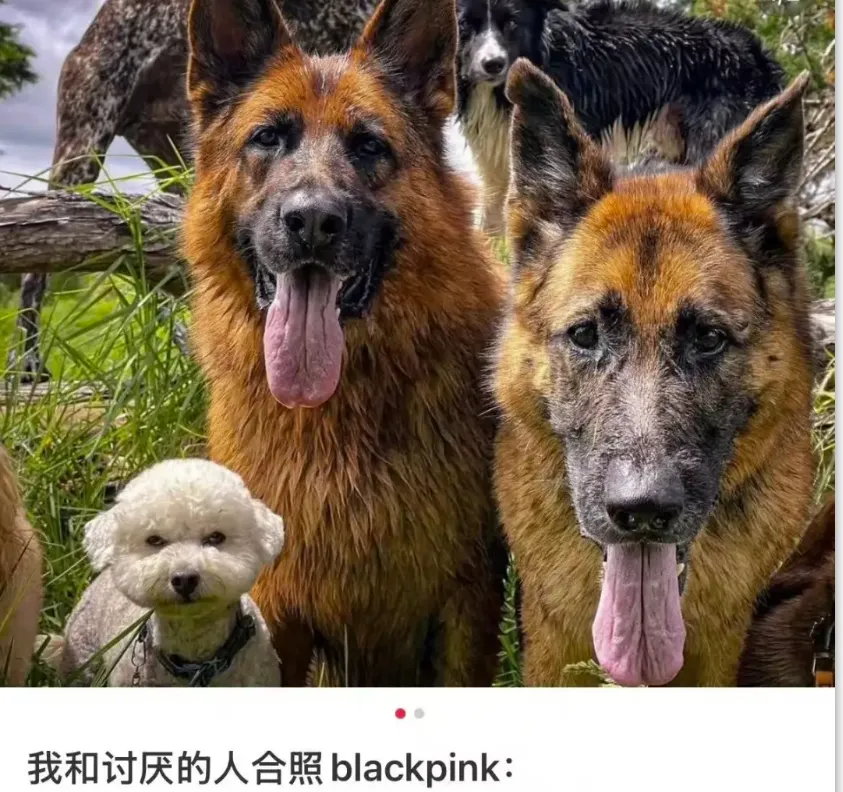 备战诺奖,早日上岸(附赠诺奖历年真题集)-第11张图片-四季读书网