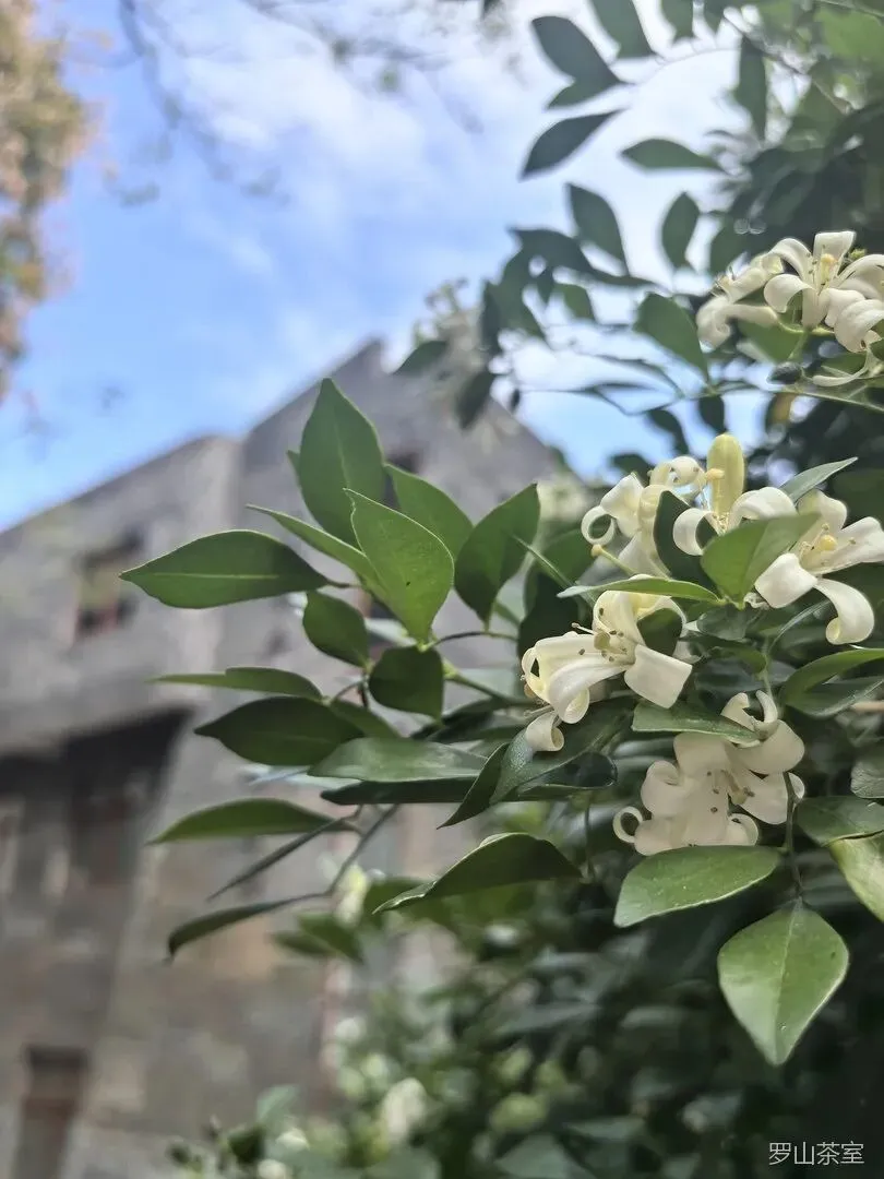 【高考志愿】电气工程及自动化(职教本科篇):现场工程师的出路与“职业学士”的含金量-第4张图片-四季读书网 【高考志愿】电气工程及自动化(职教本科篇):现场工程师的出路与“职业学士”的含金量-第4张图片-四季读书网