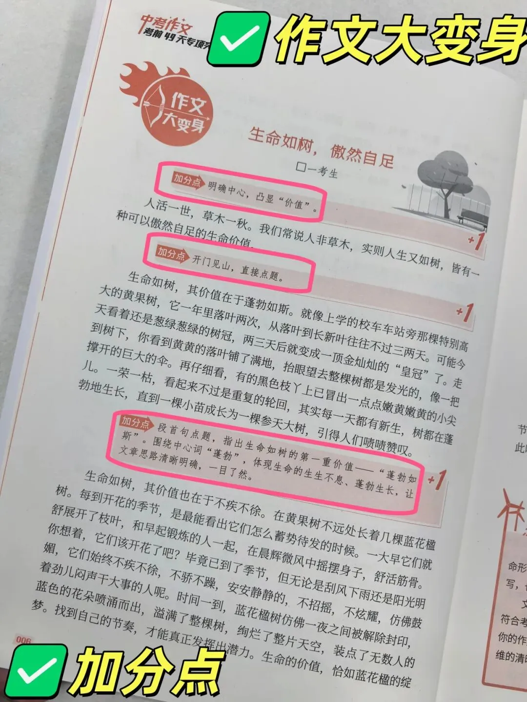 意林-中考/高考作文《考前49天专项突破·晋级提分》三大热考文体,18篇范文升级示范,在短时间内抓好重点!直指阅卷者爱扣分的作文文体-第19张图片-四季读书网