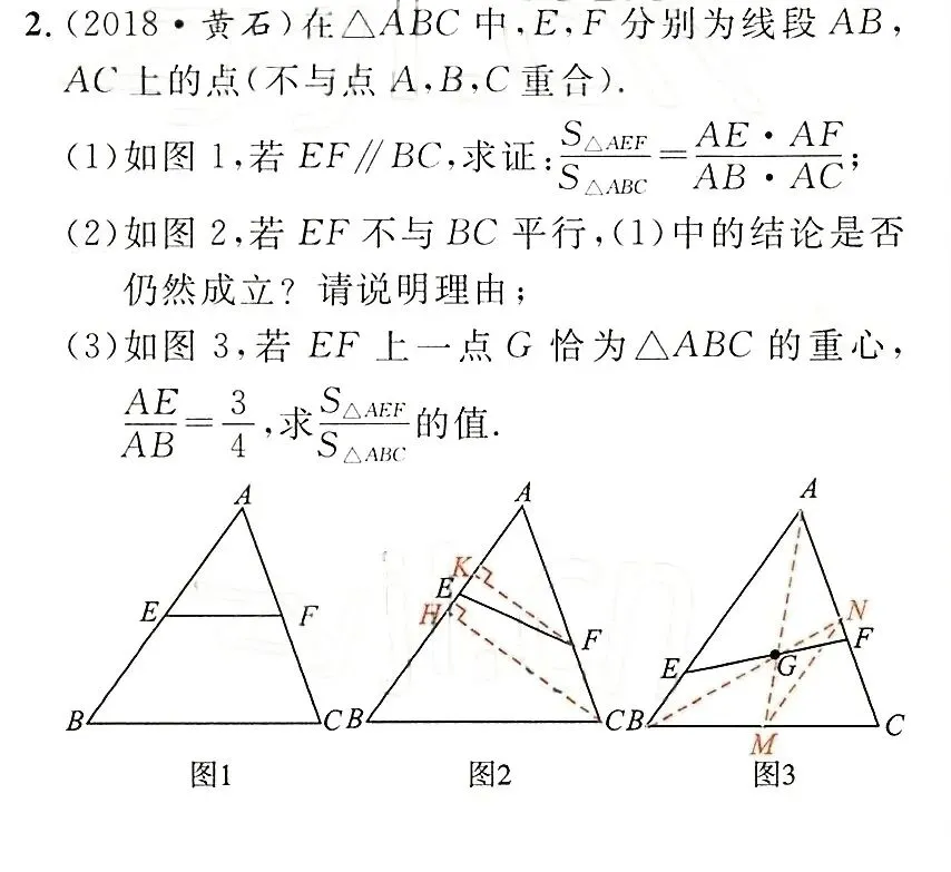 中考每日一题——相似-第1张图片-四季读书网
