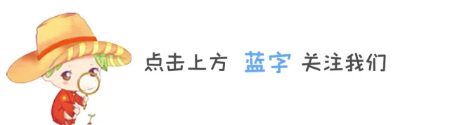 皋兰县2027年高考报名须知-第1张图片-四季读书网 皋兰县2027年高考报名须知-第1张图片-四季读书网