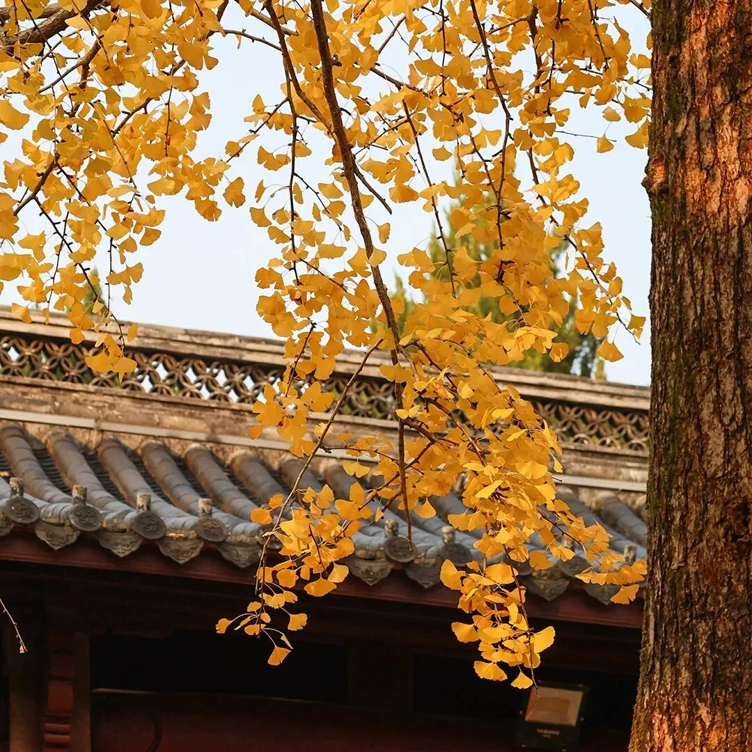 『申论真题』2026年吉林乙类申论真题参考答案及解析-第4张图片-四季读书网 『申论真题』2026年吉林乙类申论真题参考答案及解析-第4张图片-四季读书网