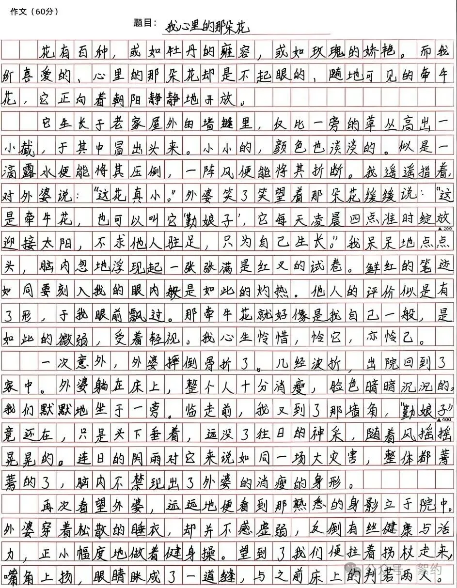 『絮°教学』2024级初三作文共生计划实录16(2026/10/21)-第7张图片-四季读书网 『絮°教学』2024级初三作文共生计划实录16(2026/10/21)-第7张图片-四季读书网