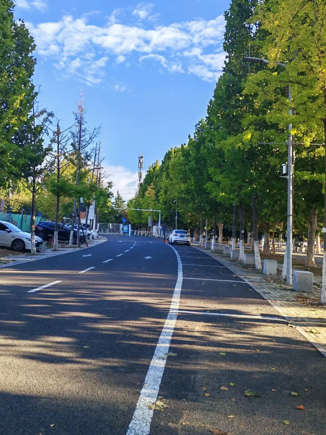 别等高三才发现:高考总分差距,多半是语数外从高一开始拉开的-第1张图片-四季读书网