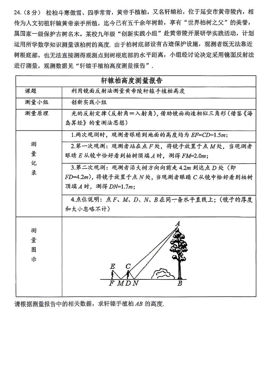 【初三】2026年9上工大、交大、师大附中第①次月考-第11张图片-四季读书网