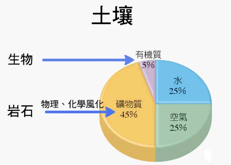 高考复习:土壤地理-第2张图片-四季读书网 高考复习:土壤地理-第2张图片-四季读书网