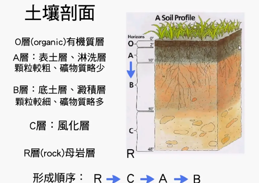 高考复习:土壤地理-第7张图片-四季读书网 高考复习:土壤地理-第7张图片-四季读书网