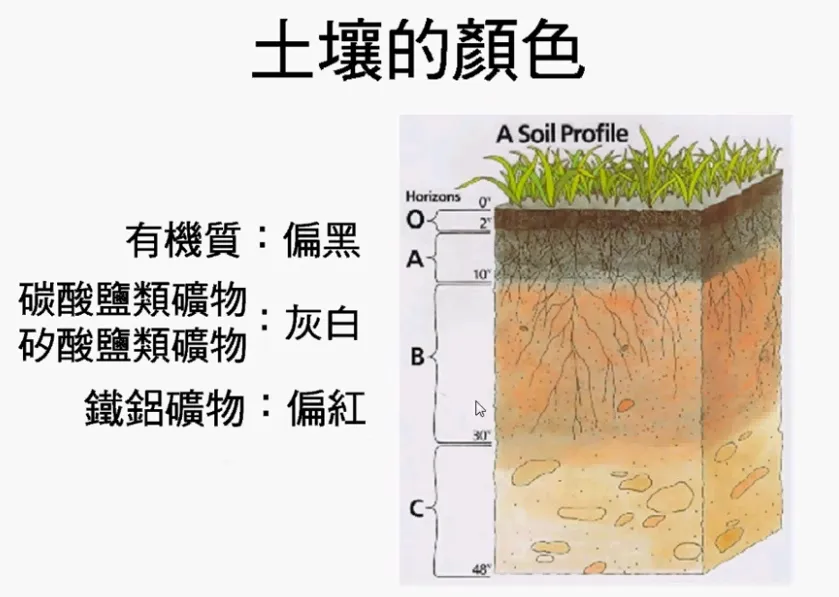 高考复习:土壤地理-第8张图片-四季读书网 高考复习:土壤地理-第8张图片-四季读书网
