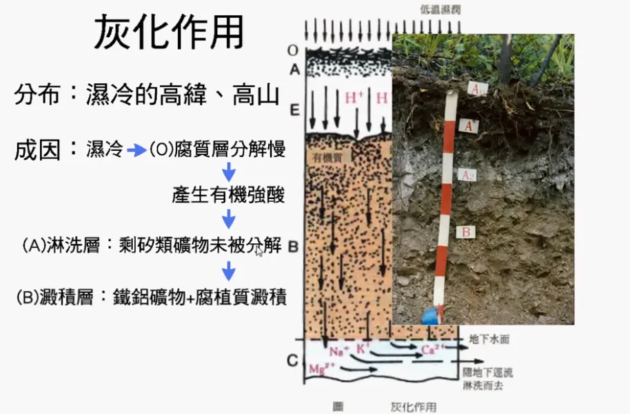 高考复习:土壤地理-第9张图片-四季读书网 高考复习:土壤地理-第9张图片-四季读书网