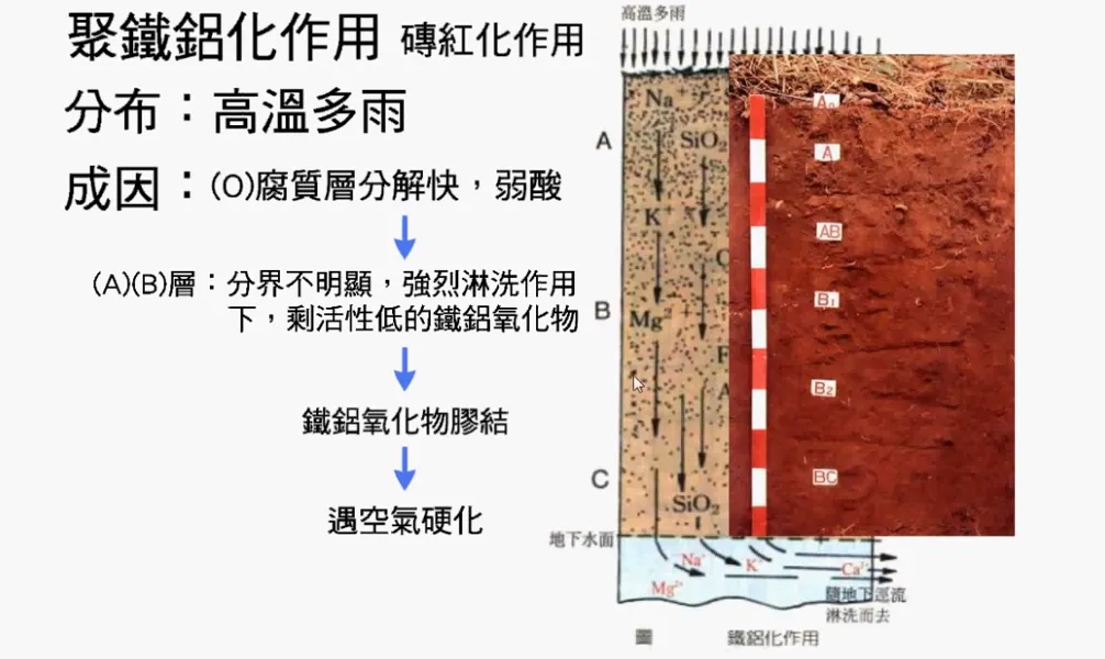 高考复习:土壤地理-第10张图片-四季读书网 高考复习:土壤地理-第10张图片-四季读书网