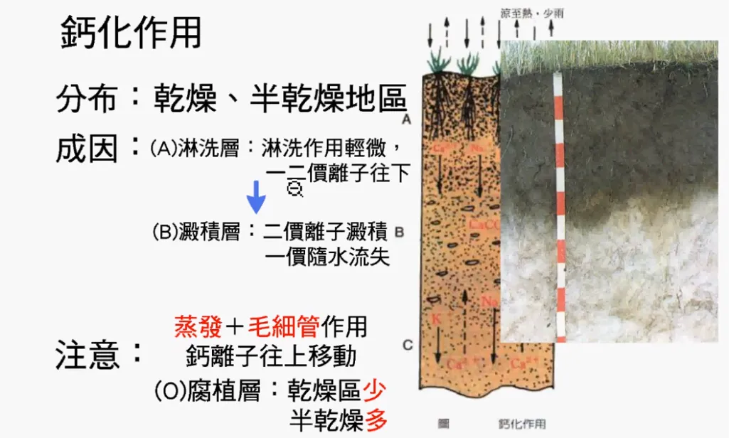 高考复习:土壤地理-第11张图片-四季读书网 高考复习:土壤地理-第11张图片-四季读书网
