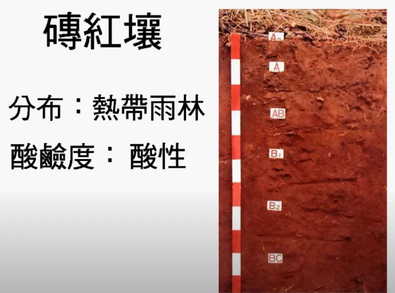 高考复习:土壤地理-第15张图片-四季读书网 高考复习:土壤地理-第15张图片-四季读书网