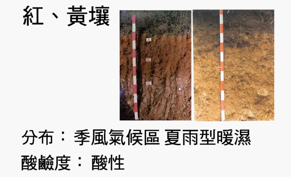 高考复习:土壤地理-第16张图片-四季读书网 高考复习:土壤地理-第16张图片-四季读书网