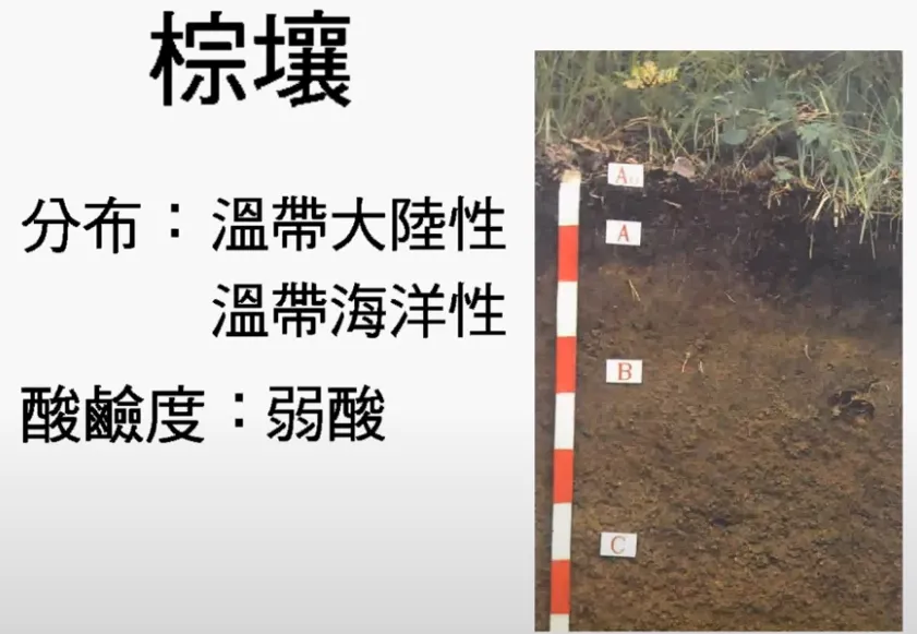 高考复习:土壤地理-第17张图片-四季读书网 高考复习:土壤地理-第17张图片-四季读书网