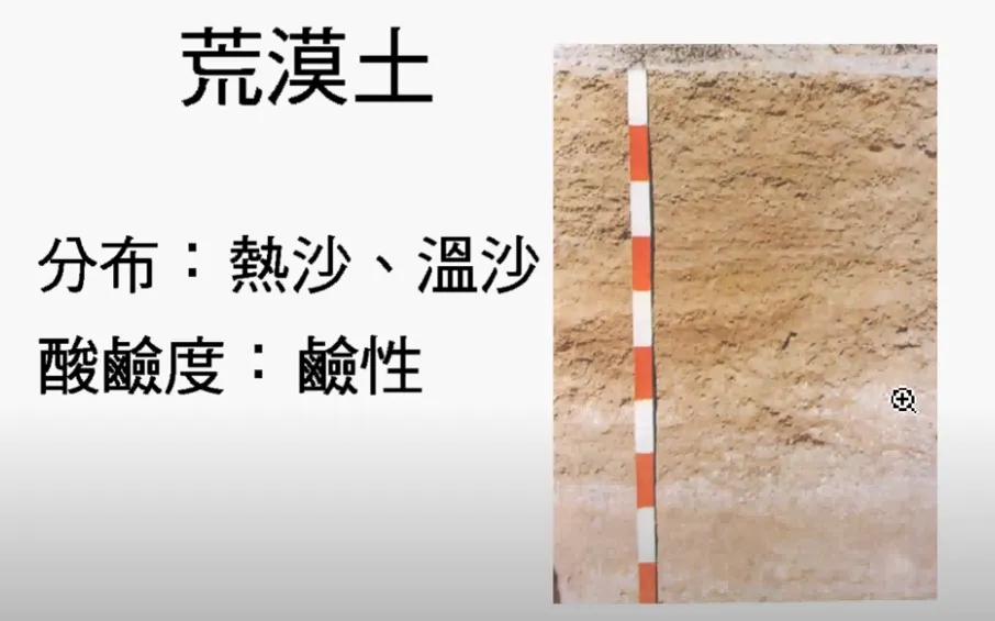 高考复习:土壤地理-第18张图片-四季读书网 高考复习:土壤地理-第18张图片-四季读书网