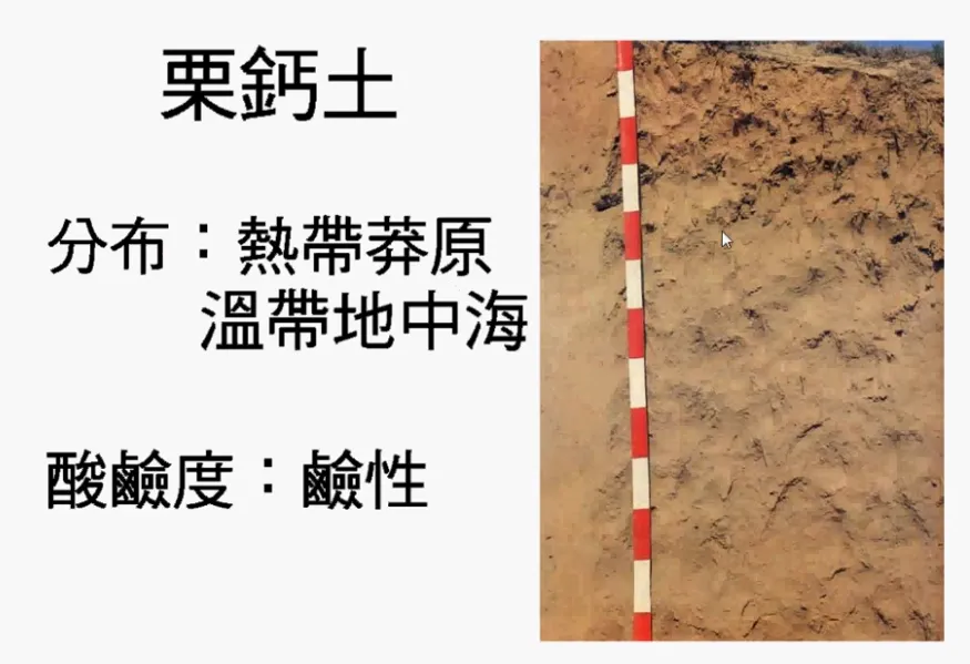 高考复习:土壤地理-第19张图片-四季读书网 高考复习:土壤地理-第19张图片-四季读书网