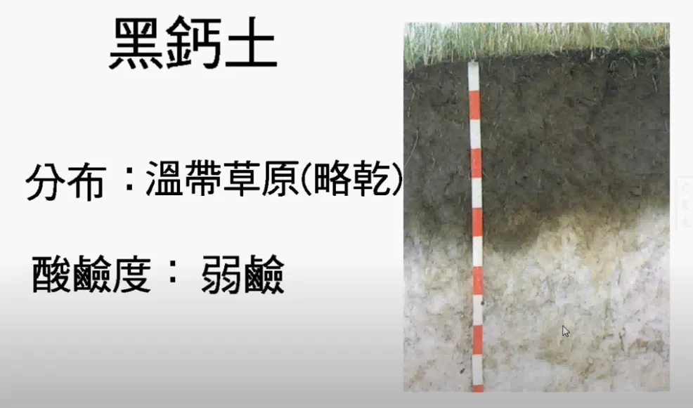 高考复习:土壤地理-第20张图片-四季读书网 高考复习:土壤地理-第20张图片-四季读书网