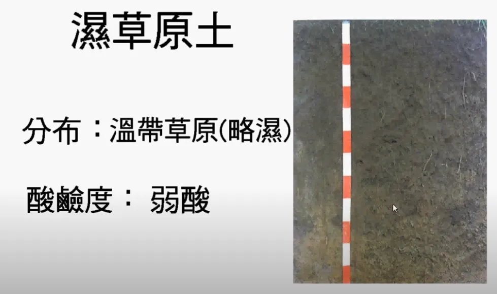 高考复习:土壤地理-第21张图片-四季读书网 高考复习:土壤地理-第21张图片-四季读书网
