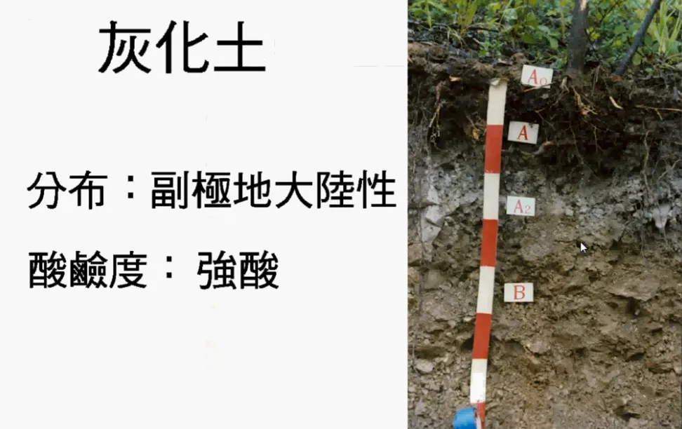 高考复习:土壤地理-第22张图片-四季读书网 高考复习:土壤地理-第22张图片-四季读书网
