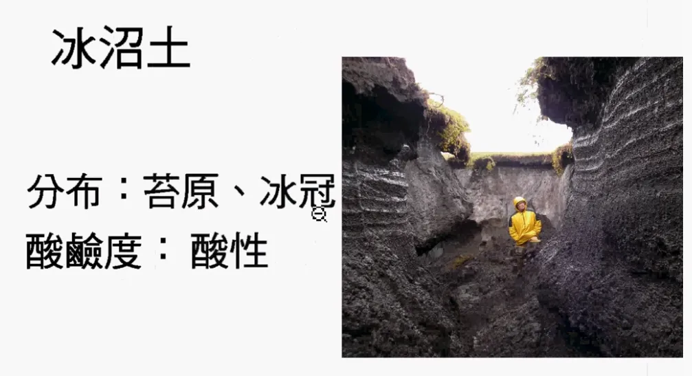 高考复习:土壤地理-第23张图片-四季读书网 高考复习:土壤地理-第23张图片-四季读书网