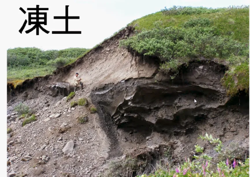 高考复习:土壤地理-第24张图片-四季读书网 高考复习:土壤地理-第24张图片-四季读书网