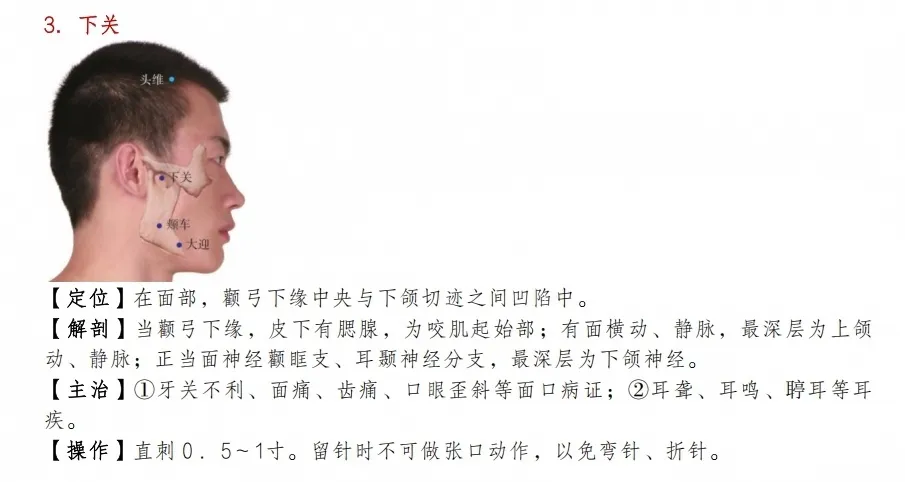 2026版江苏中医师承出师考真题全解析-第6张图片-四季读书网 2026版江苏中医师承出师考真题全解析-第6张图片-四季读书网