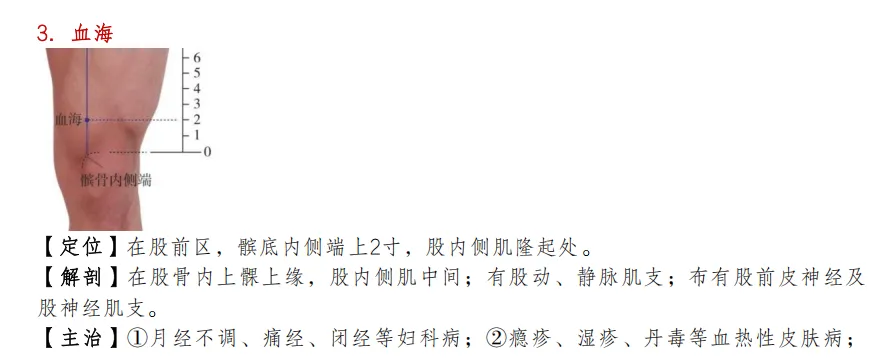 2026版江苏中医师承出师考真题全解析-第10张图片-四季读书网 2026版江苏中医师承出师考真题全解析-第10张图片-四季读书网
