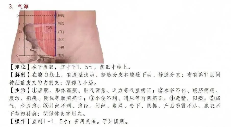 2026版江苏中医师承出师考真题全解析-第12张图片-四季读书网